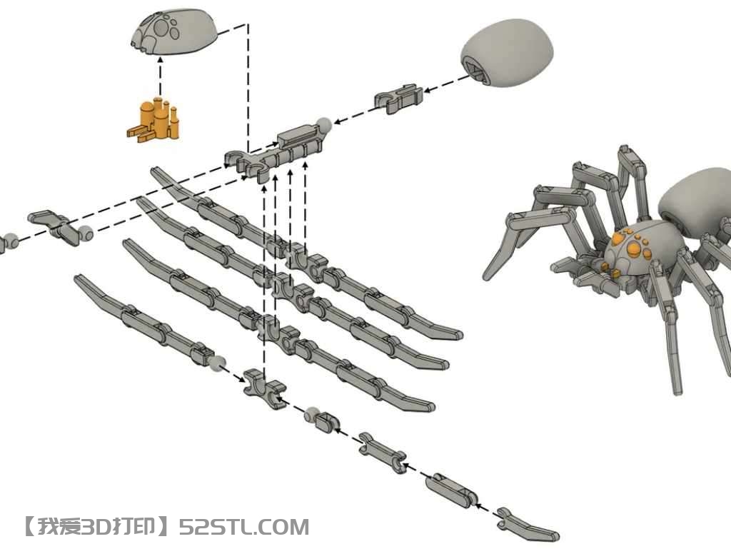 铰接式蜘蛛-3d打印模型stl