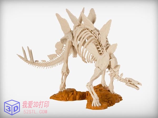 剑龙化石骨架模型-3d打印模型stl下载实物图
