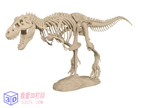 霸王龙化石骨架-3d打印模型stl下载