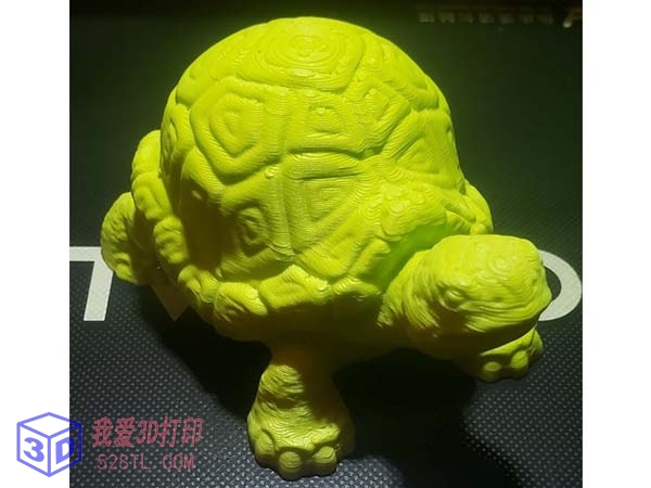 逼真的海龟模型-3d打印模型stl实物图
