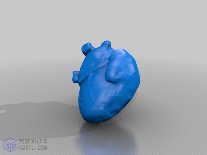 图片[2]-解剖心脏模型-3d打印模型stl格式免费下载-3d打印模型免费下载-百度网盘下载【我爱3D打印】