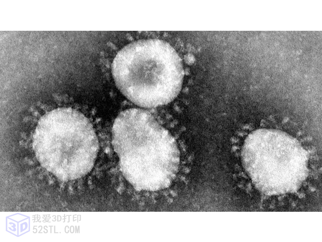 图片[4]-新型冠状病毒模型（2019-nCoV、COVID-2019）3D模型-3d打印stl模型库-3D打印模型stl-百度网盘下载【我爱3D打印】