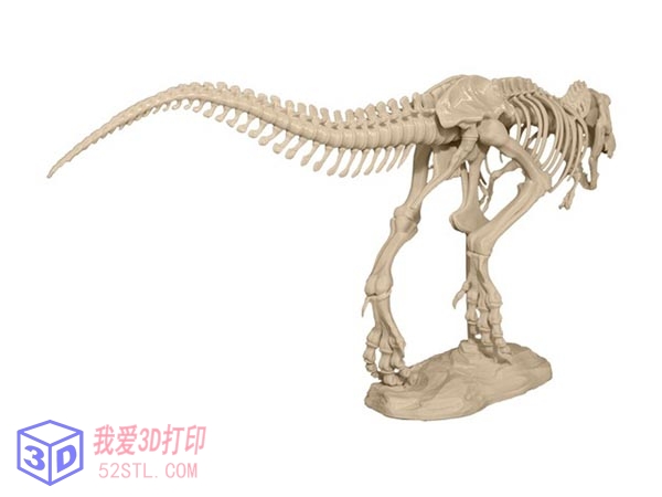 霸王龙化石骨架-3d打印模型stl下载