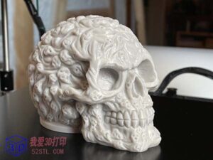 灵魂骷髅-3d打印模型stl下载-【我爱3D打印】