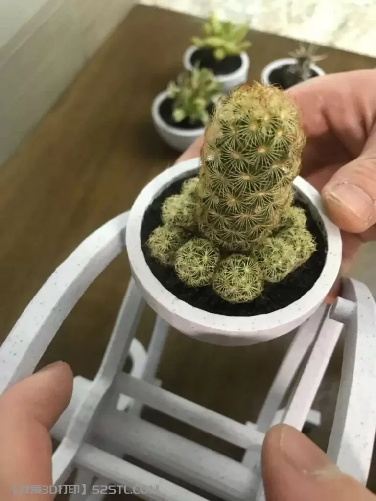 摩天轮植物架-3d打印模型stl