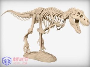 霸王龙化石骨架-3d打印模型stl下载-【我爱3D打印】