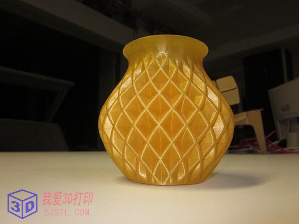双扭花瓶-3d打印模型stl实物图