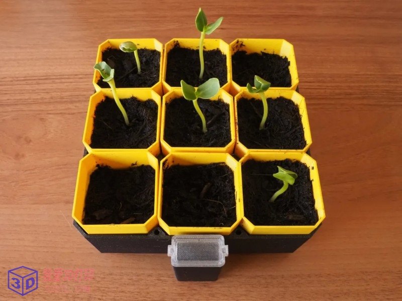 小型自动浇水种子发芽器-3d打印模型stl